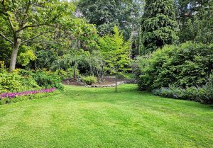 Optimiser l'expérience du jardin à Saint-Laurent-de-Belzagot